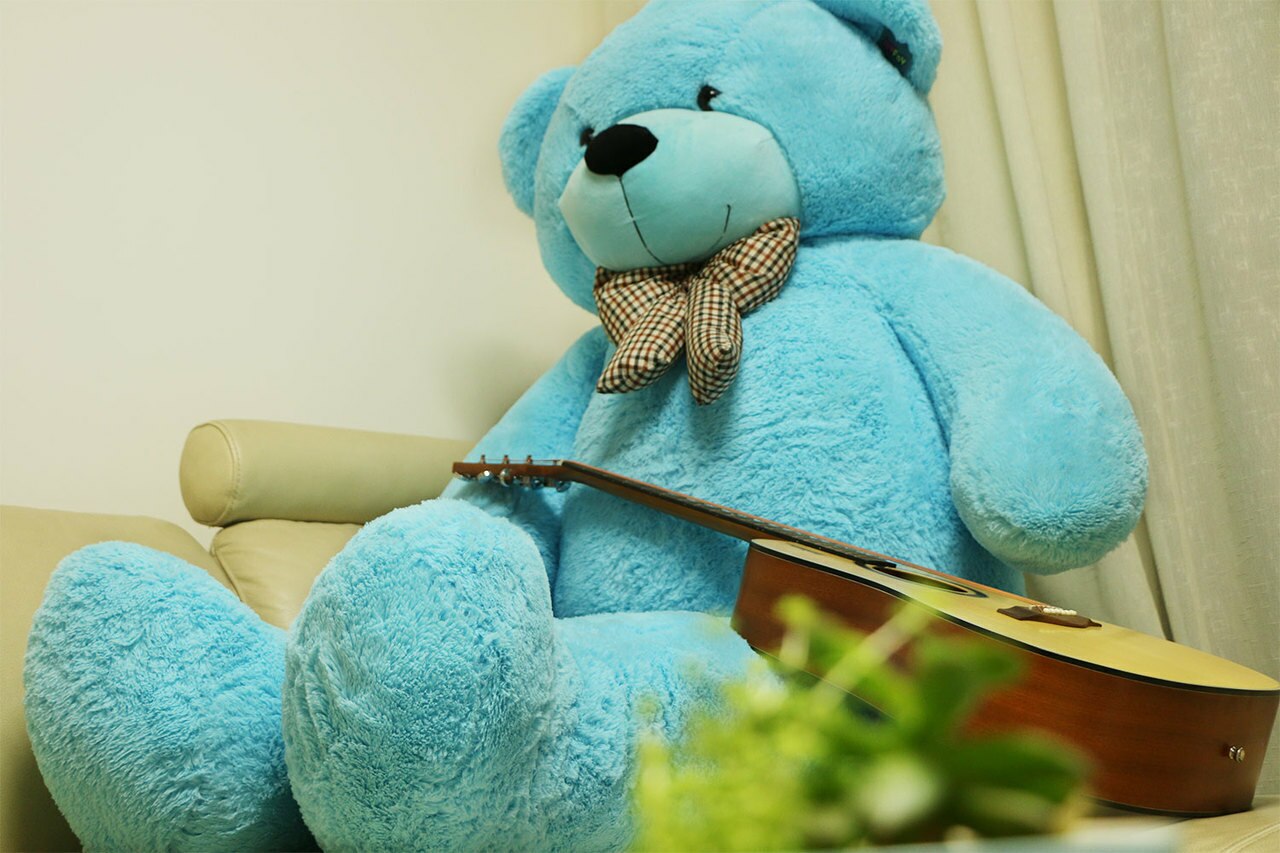 how to wash a teddy bear